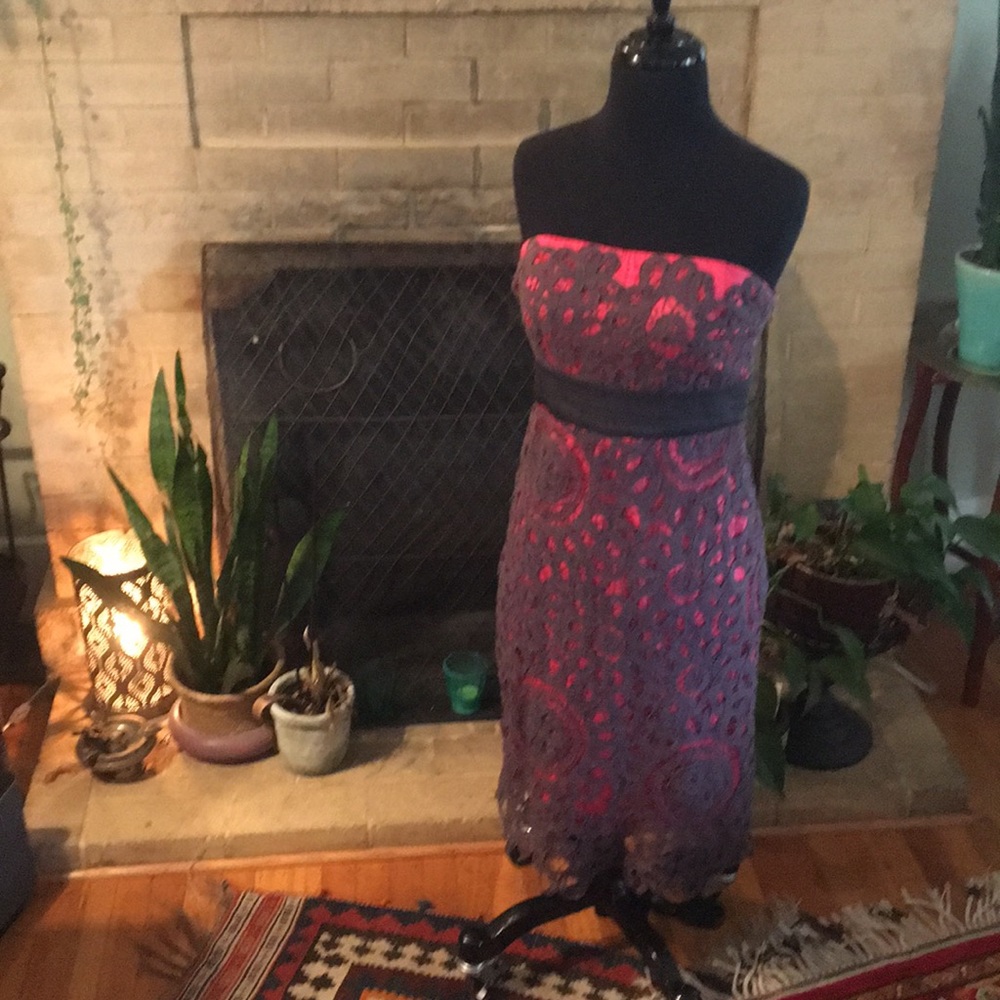Anthropologie Pink and Grey Lace Strapless Dress